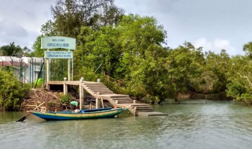 sundarban west Bengal tourism