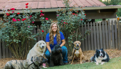 dog training seminars